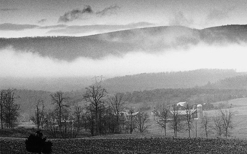 Smoky Horizon