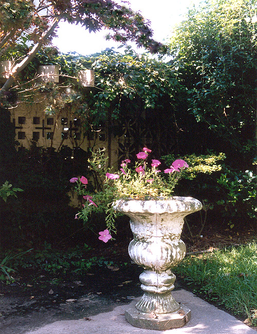 042.jpg (252324 bytes)