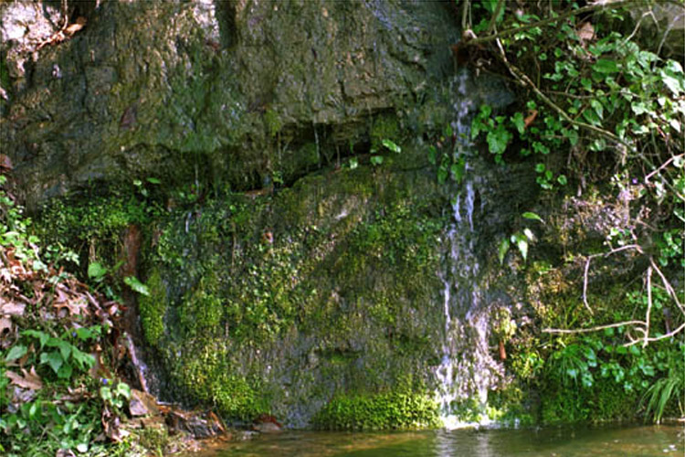 Rock Wall