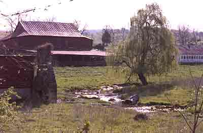 Description: 515.jpg (9474 bytes)