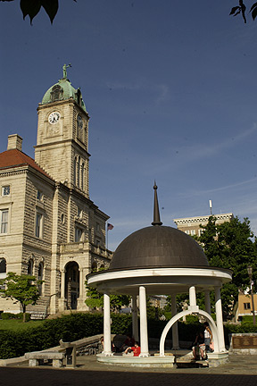 T031.jpg (18056 bytes)
