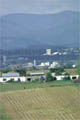 Description: T149.jpg (34798 bytes)