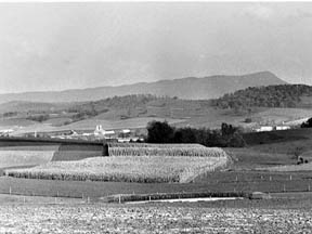 Description: T150.jpg (15930 bytes)