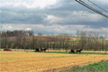 Description: T169.jpg (11265 bytes)