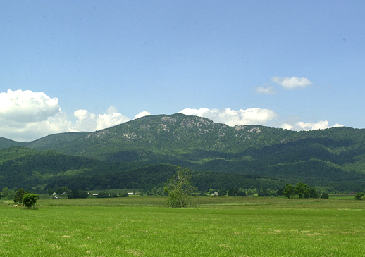 Description: T189.jpg (30587 bytes)