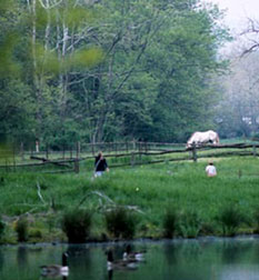 Description: N:\Shenandoah2000\Archive Web Files\My Webs\RonaldElliott\Catalog\T601.jpg